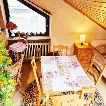 Calm Located Penthouse In Langenloh * Petersaurach